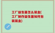 工厂益生菌怎么装盒(工厂制作益生菌如何包装装盒)
