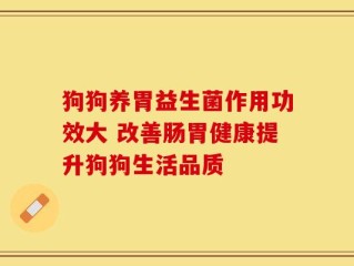 狗狗养胃益生菌作用功效大 改善肠胃健康提升狗狗生活品质