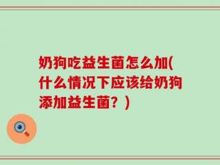 奶狗吃益生菌怎么加(什么情况下应该给奶狗添加益生菌？)
