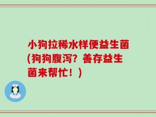 小狗拉稀水样便益生菌(狗狗腹泻？善存益生菌来帮忙！)