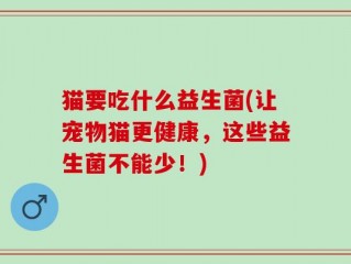 猫要吃什么益生菌(让宠物猫更健康，这些益生菌不能少！)