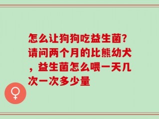 怎么让狗狗吃益生菌？请问两个月的比熊幼犬，益生菌怎么喂一天几次一次多少量