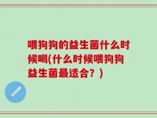 喂狗狗的益生菌什么时候喝(什么时候喂狗狗益生菌最适合？)