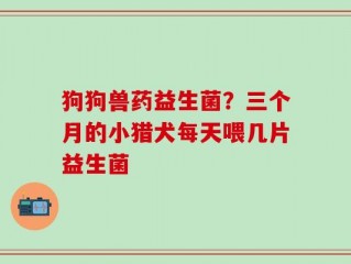 狗狗兽药益生菌？三个月的小猎犬每天喂几片益生菌