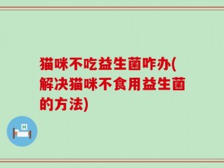 猫咪不吃益生菌咋办(解决猫咪不食用益生菌的方法)