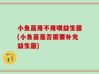 小鱼苗用不用喂益生菌(小鱼苗是否需要补充益生菌)