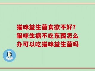猫咪益生菌食欲不好？猫咪生病不吃东西怎么办可以吃猫咪益生菌吗