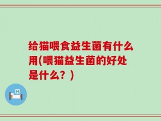 给猫喂食益生菌有什么用(喂猫益生菌的好处是什么？)