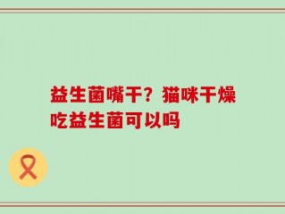 益生菌嘴干？猫咪干燥吃益生菌可以吗