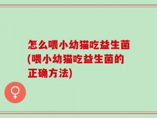怎么喂小幼猫吃益生菌(喂小幼猫吃益生菌的正确方法)
