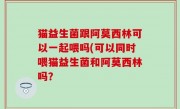 猫益生菌跟阿莫西林可以一起喂吗(可以同时喂猫益生菌和阿莫西林吗？
