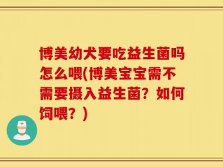 博美幼犬要吃益生菌吗怎么喂(博美宝宝需不需要摄入益生菌？如何饲喂？)