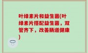 叶绿素片和益生菌(叶绿素片搭配益生菌，双管齐下，改善肠道健康)