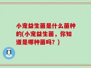 小宠益生菌是什么菌种的(小宠益生菌，你知道是哪种菌吗？)