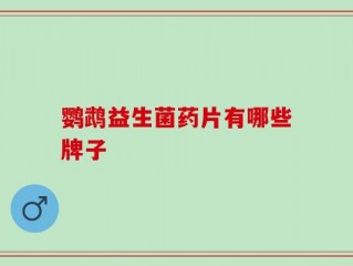 鹦鹉益生菌药片有哪些牌子