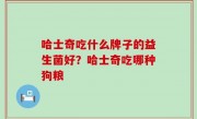 哈士奇吃什么牌子的益生菌好？哈士奇吃哪种狗粮