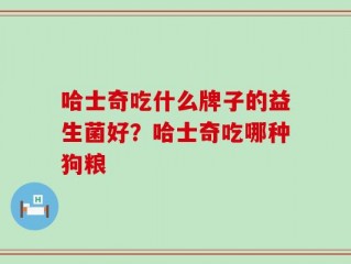 哈士奇吃什么牌子的益生菌好？哈士奇吃哪种狗粮