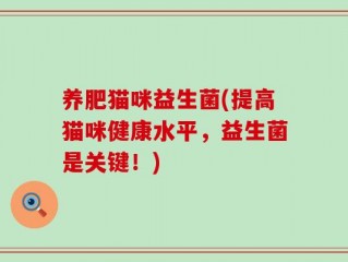养肥猫咪益生菌(提高猫咪健康水平，益生菌是关键！)