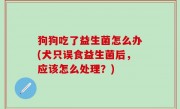 狗狗吃了益生菌怎么办(犬只误食益生菌后，应该怎么处理？)