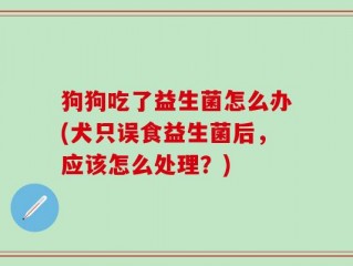 狗狗吃了益生菌怎么办(犬只误食益生菌后，应该怎么处理？)