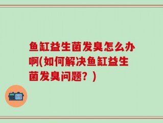 鱼缸益生菌发臭怎么办啊(如何解决鱼缸益生菌发臭问题？)