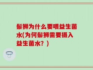 鬃狮为什么要喂益生菌水(为何鬃狮需要摄入益生菌水？)