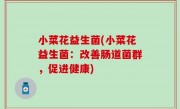 小菜花益生菌(小菜花益生菌：改善肠道菌群，促进健康)