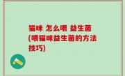 猫咪 怎么喂 益生菌(喂猫咪益生菌的方法技巧)