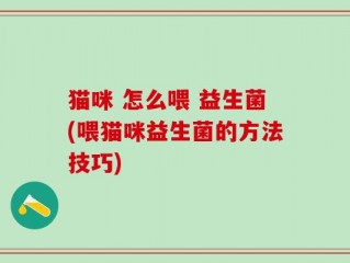 猫咪 怎么喂 益生菌(喂猫咪益生菌的方法技巧)