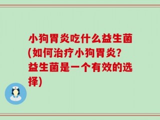 小狗胃炎吃什么益生菌(如何治疗小狗胃炎？益生菌是一个有效的选择)