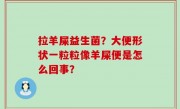 拉羊屎益生菌？大便形状一粒粒像羊屎便是怎么回事？
