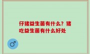 仔猪益生菌有什么？猪吃益生菌有什么好处