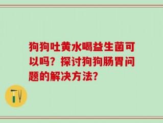 狗狗吐黄水喝益生菌可以吗？探讨狗狗肠胃问题的解决方法？