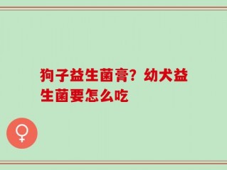 狗子益生菌膏？幼犬益生菌要怎么吃