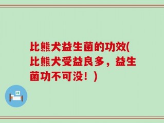 比熊犬益生菌的功效(比熊犬受益良多，益生菌功不可没！)