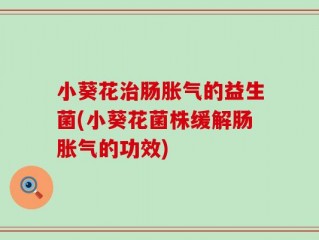 小葵花治肠胀气的益生菌(小葵花菌株缓解肠胀气的功效)