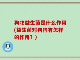 狗吃益生菌是什么作用(益生菌对狗狗有怎样的作用？)
