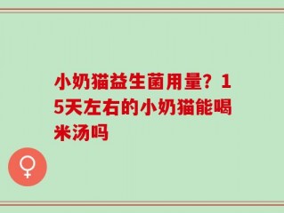 小奶猫益生菌用量？15天左右的小奶猫能喝米汤吗