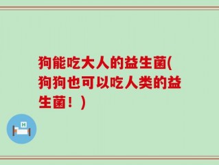 狗能吃大人的益生菌(狗狗也可以吃人类的益生菌！)