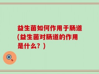 益生菌如何作用于肠道(益生菌对肠道的作用是什么？)