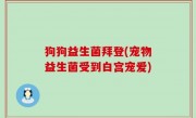 狗狗益生菌拜登(宠物益生菌受到白宫宠爱)