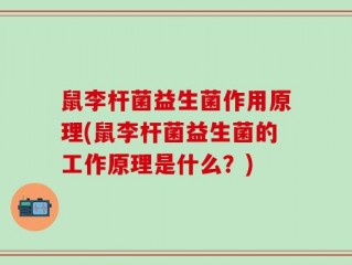 鼠李杆菌益生菌作用原理(鼠李杆菌益生菌的工作原理是什么？)