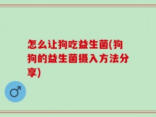 怎么让狗吃益生菌(狗狗的益生菌摄入方法分享)