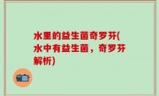 水里的益生菌奇罗芬(水中有益生菌，奇罗芬解析)