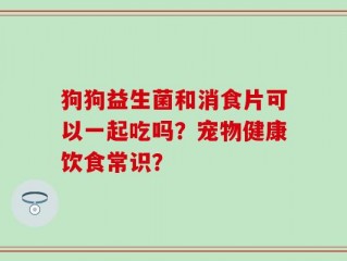 狗狗益生菌和消食片可以一起吃吗？宠物健康饮食常识？