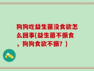 狗狗吃益生菌没食欲怎么回事(益生菌不振食，狗狗食欲不振？)