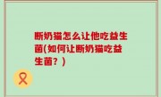断奶猫怎么让他吃益生菌(如何让断奶猫吃益生菌？)
