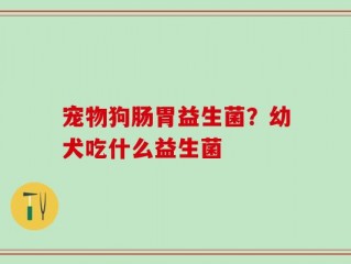 宠物狗肠胃益生菌？幼犬吃什么益生菌