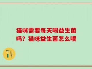 猫咪需要每天喝益生菌吗？猫咪益生菌怎么喂