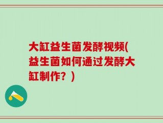 大缸益生菌发酵视频(益生菌如何通过发酵大缸制作？)